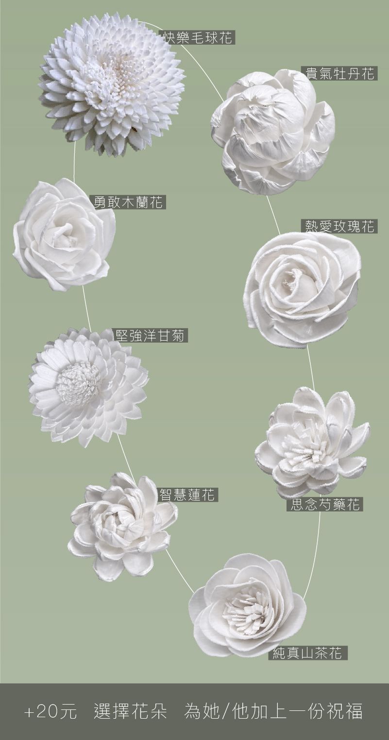 多款索拉花、香氛花 含意不同 送他一朵屬於你的祝福吧