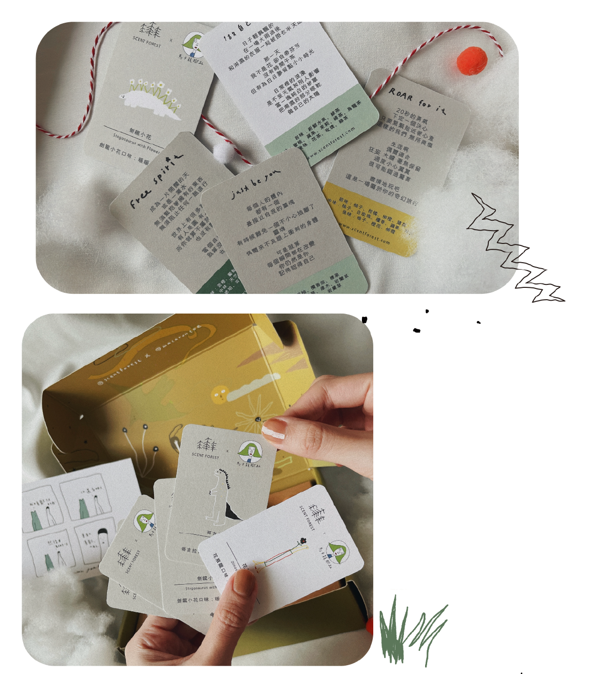 SCENT FOREST 香氛森林 - 馬卡龍腳趾聯名款4+1香氛系列禮盒 細節一覽