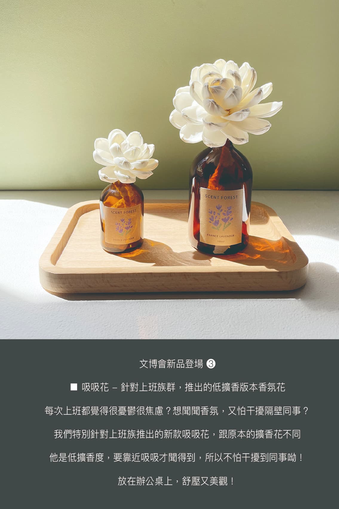 香氛森林-文博新品登場-辦公室吸吸花