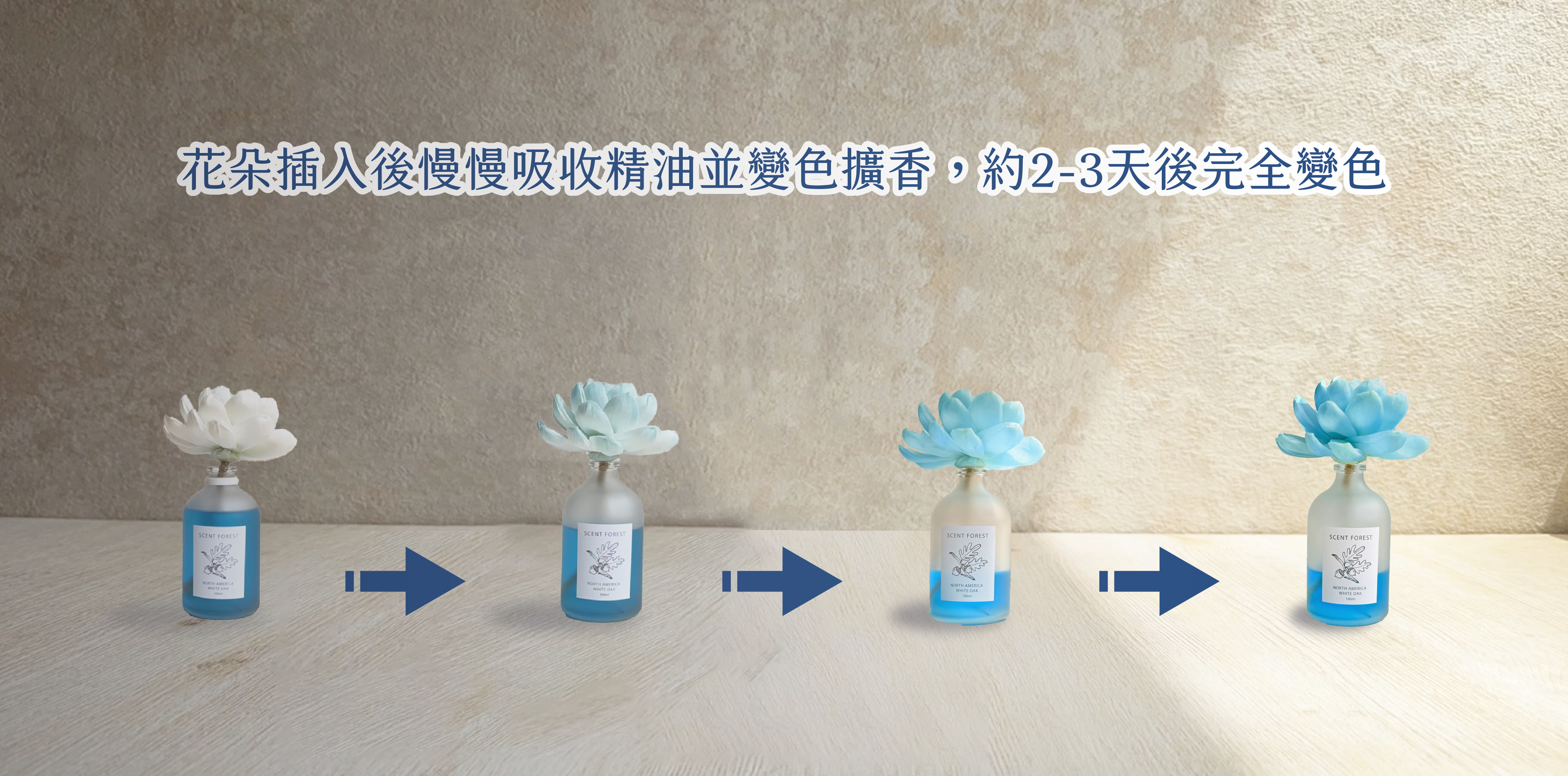 SCENT FOREST 香氛森林 - 室內香氛 - 彩色香水擴香花 香氛花 索拉花 室內擴香 寵物友善