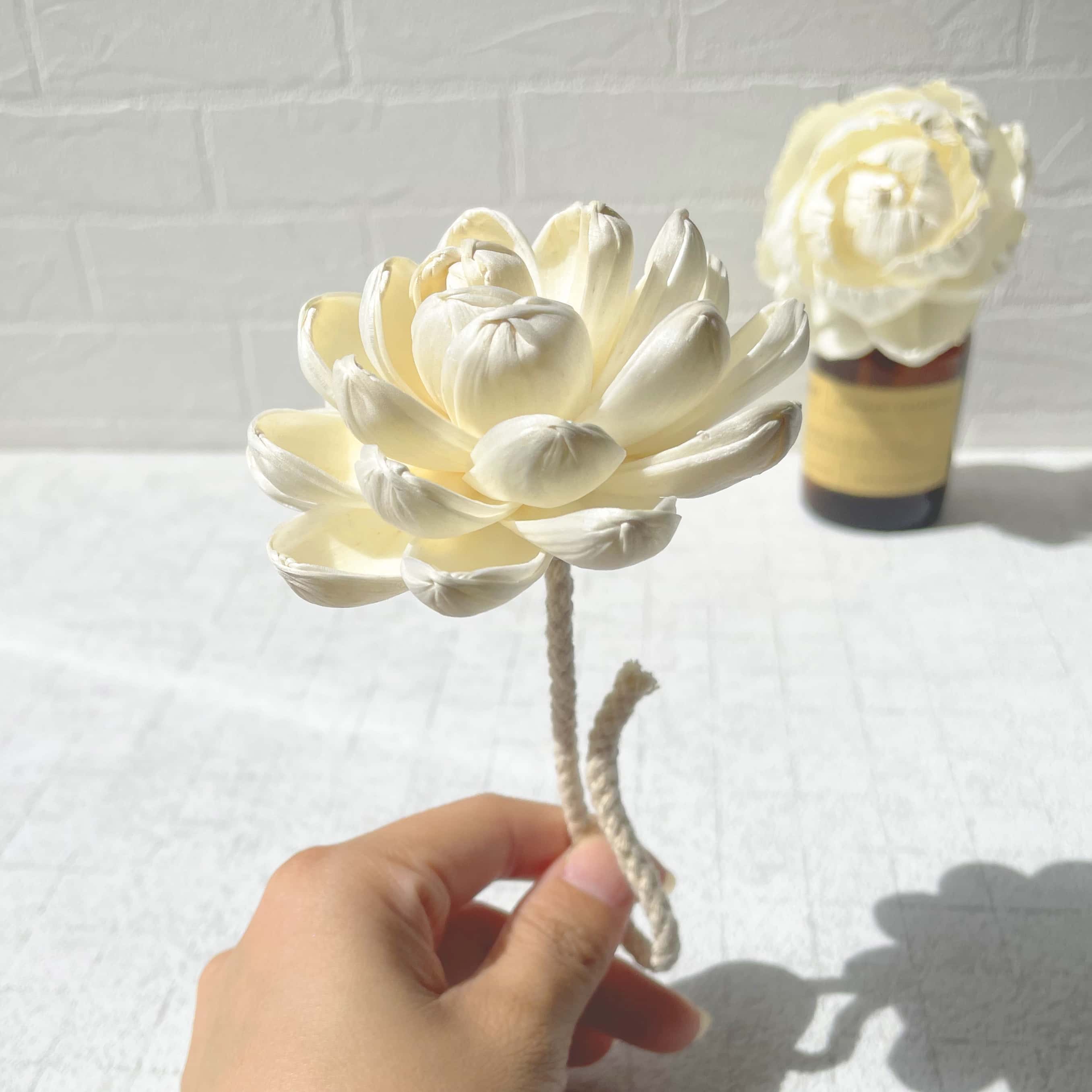 SCENT FOREST 香氛森林  香氛花 擴香花 索拉花 居家擴香 香氛擴香花 蓮花