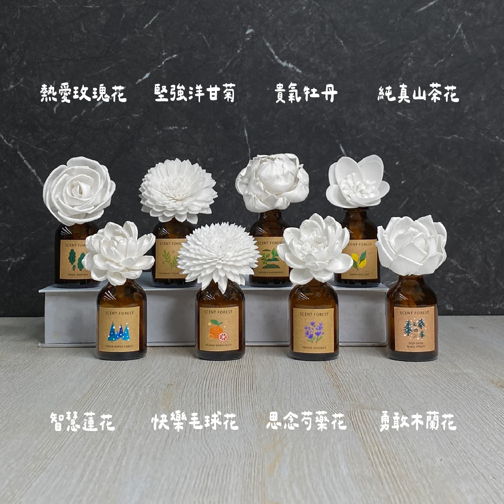 SCENT FOREST 香氛森林 -室內擴香- 天然精油吸吸花花型介紹與象徵