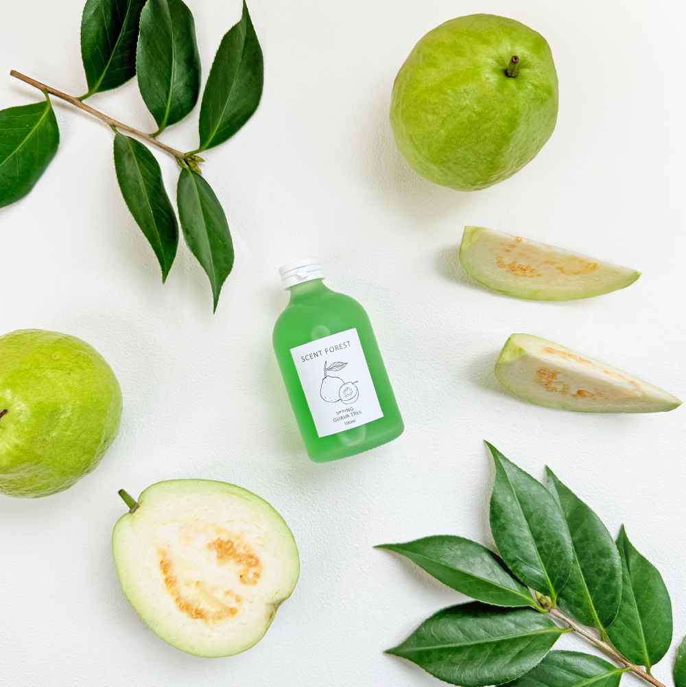 SCENT FOREST 香氛森林 - 室內香氛 - 彩色香水擴香花 香氛花 索拉花 室內擴香 寵物友善