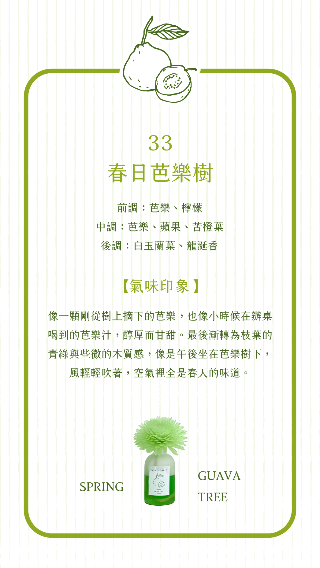 SCENT FOREST 香氛森林 - 室內香氛 - 彩色香水擴香花 香氛花 索拉花 室內擴香 寵物友善