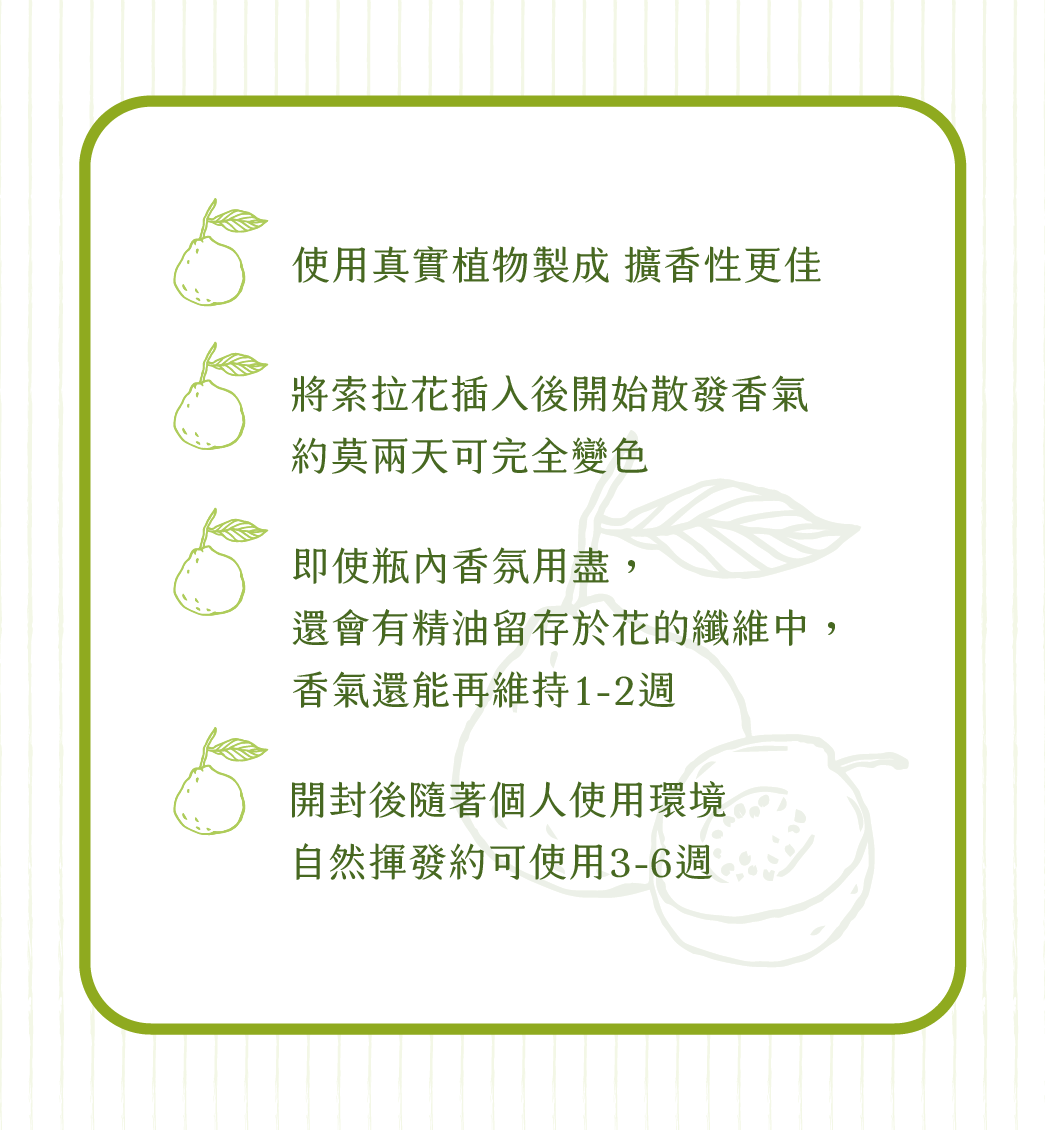 SCENT FOREST 香氛森林 - 室內香氛 - 彩色香水擴香花 香氛花 索拉花 室內擴香 寵物友善