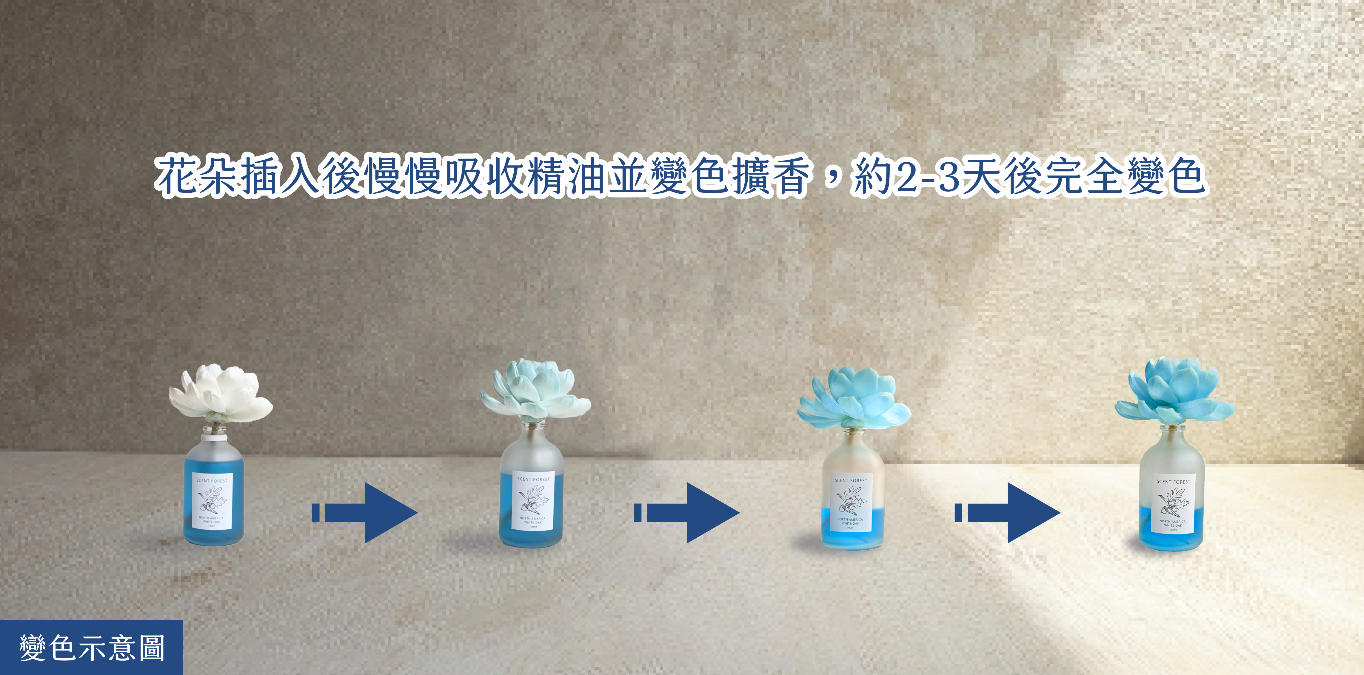 SCENT FOREST 香氛森林 - 室內香氛 - 彩色香水擴香花 香氛花 索拉花 室內擴香 寵物友善