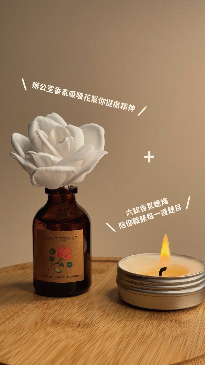 SCENT FOREST 香氛森林 -室內擴香- 天然精油吸吸花 香氛花 索拉花 室內擴香 辦公室、書桌適用,職場舒壓