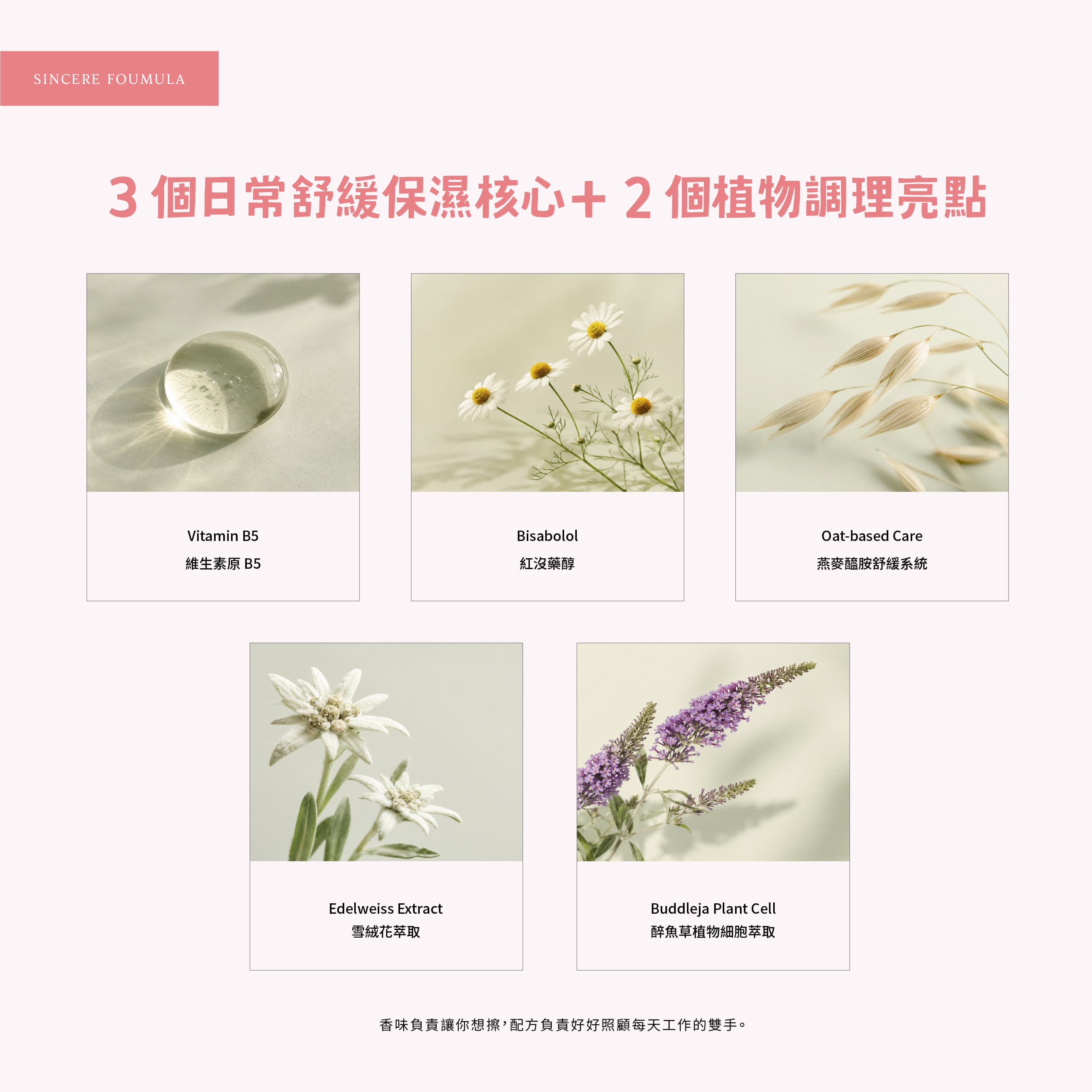 香氛森林 scent forest - 我喜歡你香氛護手身體乳,保濕與植物配方