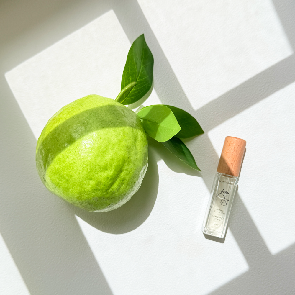 SCENT FOREST 香氛森林 - 香氛噴霧 香氛大豆蠟燭 - 春日芭樂樹