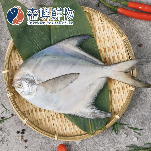 野生白鯧 野生白鯧