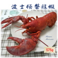 頂級空運波士頓螯龍蝦-生凍(575g±10%/隻)(獨享美食大推) 頂級空運波士頓螯龍蝦-生凍(575g±10%/隻)(獨享美食大推)