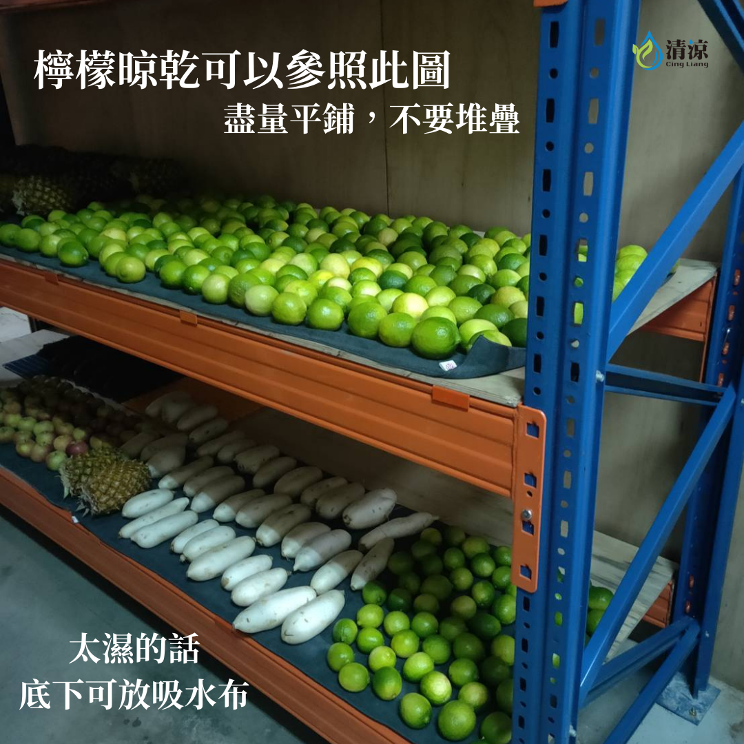 檸檬曬乾、平鋪參考照片