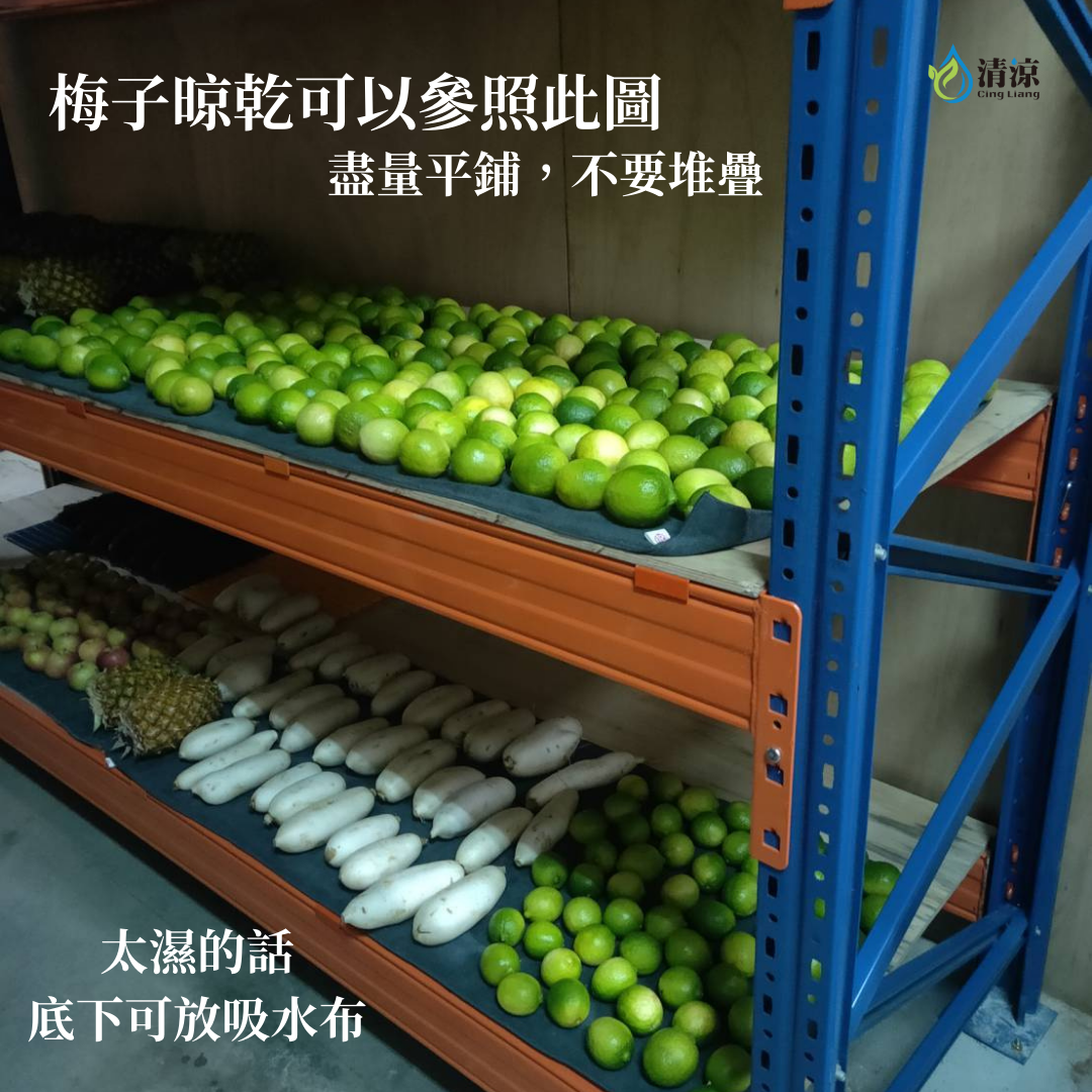 梅子曬乾、平鋪參考照片