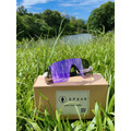 紫霞光感變色眼鏡 Violet_6 紫霞光感變色眼鏡 Violet_6