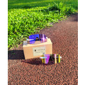 紫霞光感變色眼鏡 Violet_7 紫霞光感變色眼鏡 Violet_7