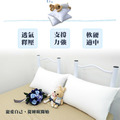 舒柔記憶枕_2 舒柔記憶枕_2