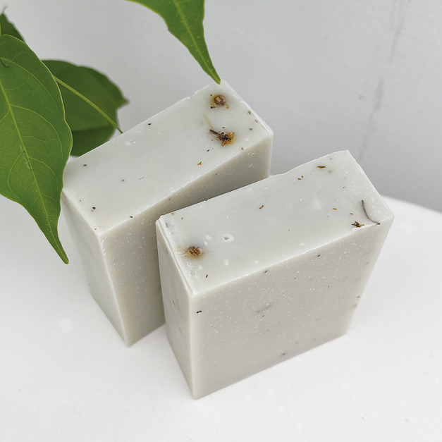 蘆薈黃瓜 + 歐薄荷 蘆薈黃瓜 + 歐薄荷