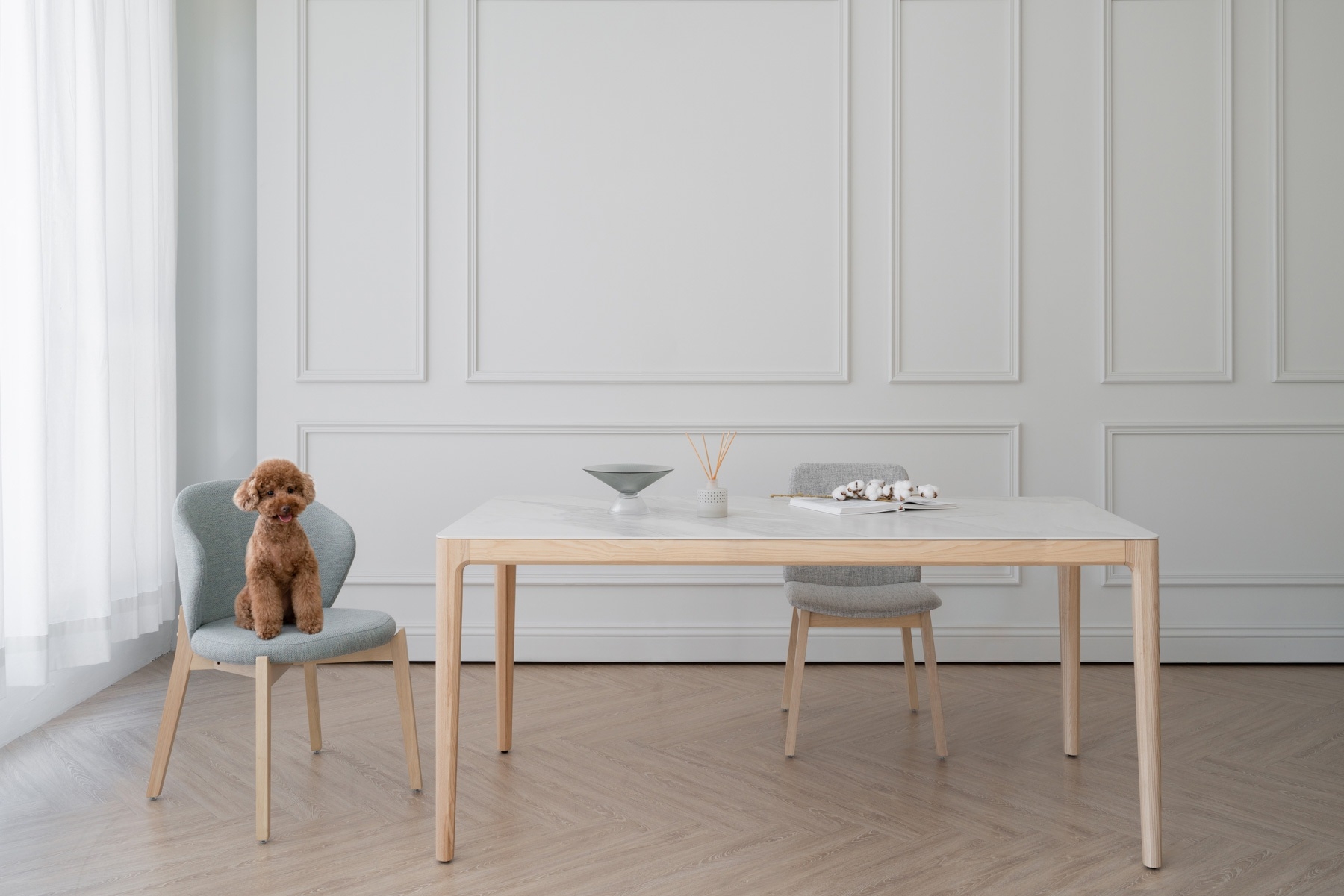 北歐風餐桌首選,陶陶餐桌 陶陶餐桌與一隻紅貴賓狗