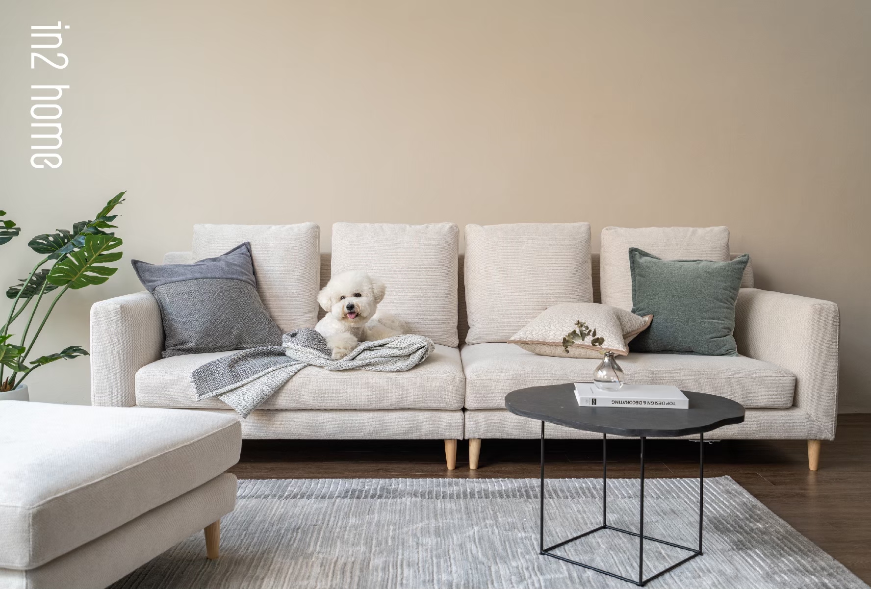 艾倫沙發情境示意 艾倫沙發情境照片示意