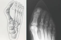 未命名-2 未命名-2