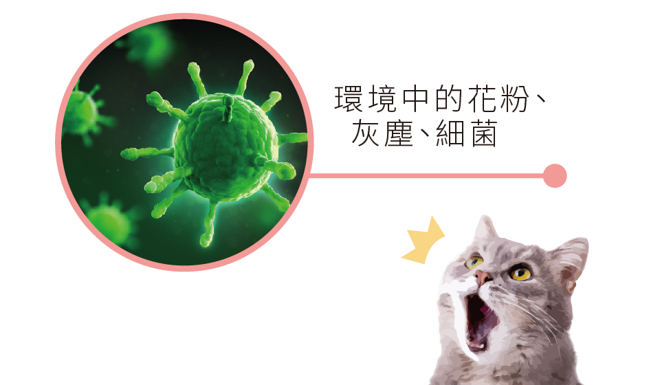 寵物肌膚,寵物皮膚保健,沒有臭肌膚救援凝露,細菌,紅腫