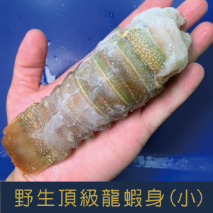 野生頂級龍蝦身(100g±5%) 野生頂級龍蝦身(100g±5%)