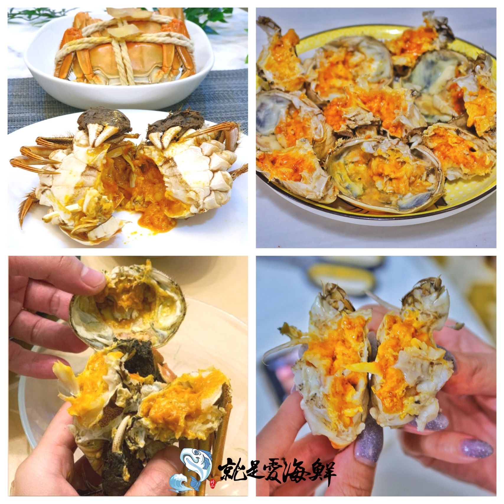 台灣爆膏大閘蟹