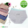 【Osun】12件組少淑女棉質三角內褲Favourite直條紋低腰有機棉透氣舒適(CE455-942) 【Osun】12件組少淑女棉質三角內褲Favourite直條紋低腰有機棉透氣舒適(CE455-942)