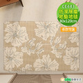 【Osun】80x120cm原色初心簡約入門地毯玄關吸水耐磨耐蹭防滑易打理地墊(CE443) 【Osun】80x120cm原色初心簡約入門地毯玄關吸水耐磨耐蹭防滑易打理地墊(CE443)