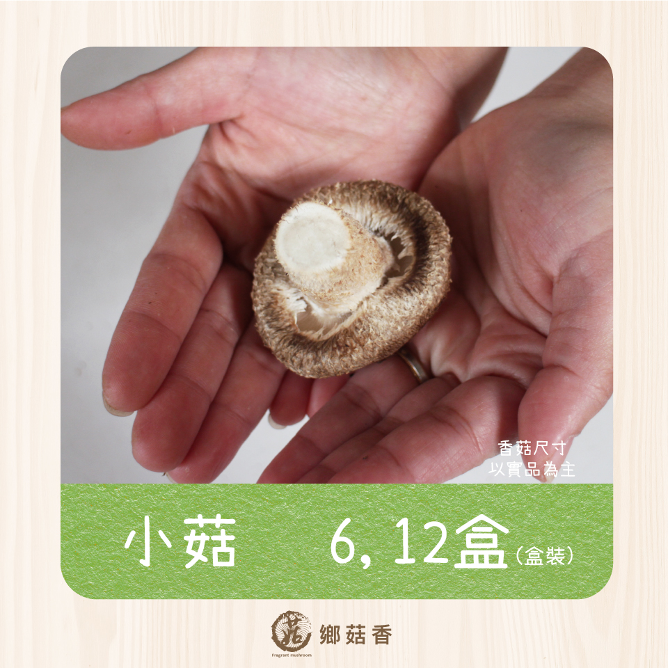 新鮮有機厚鮮香菇(小菇)( 6 /12 盒) - 免運優惠