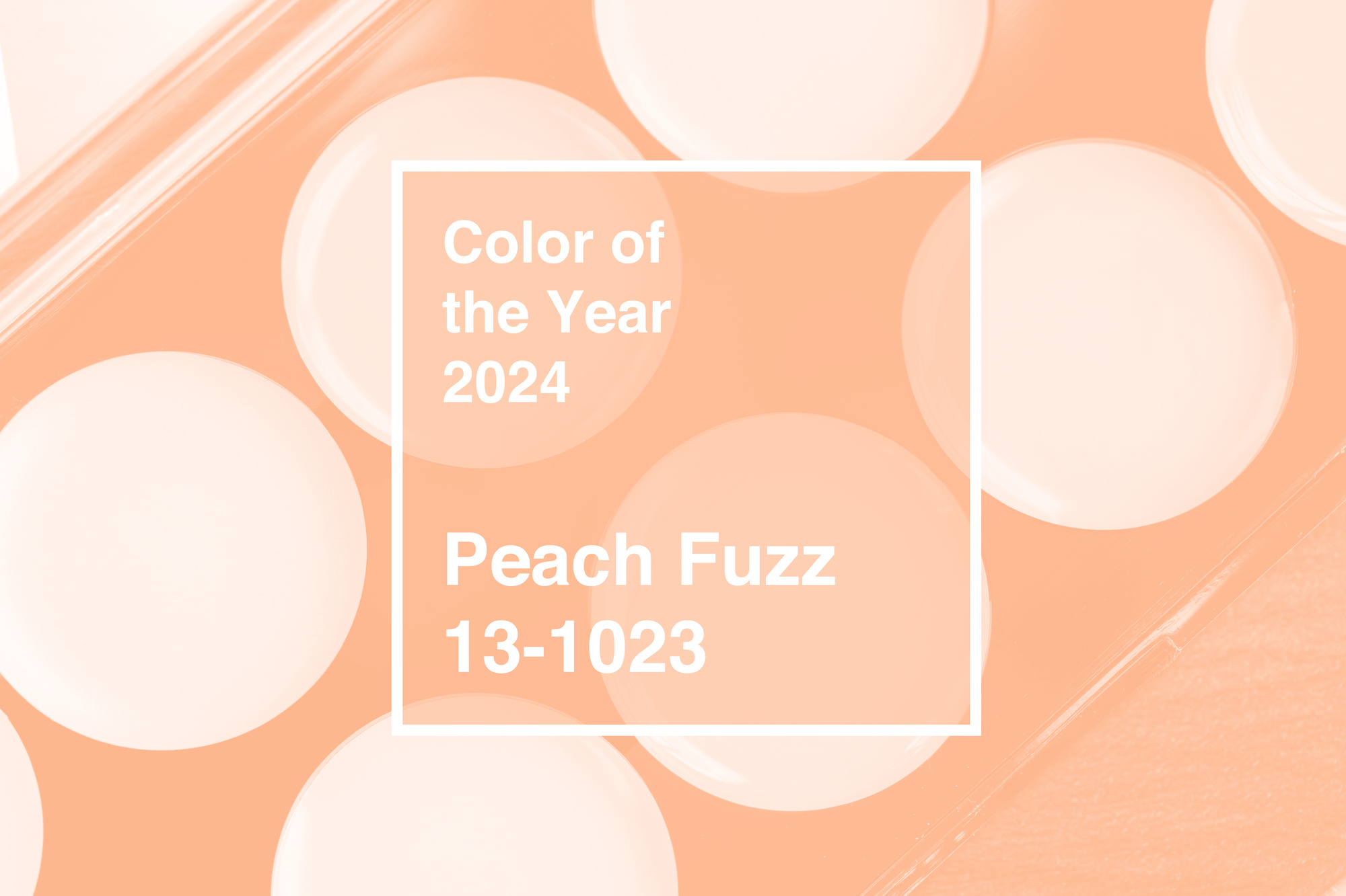 柔和桃色是2024的代表色