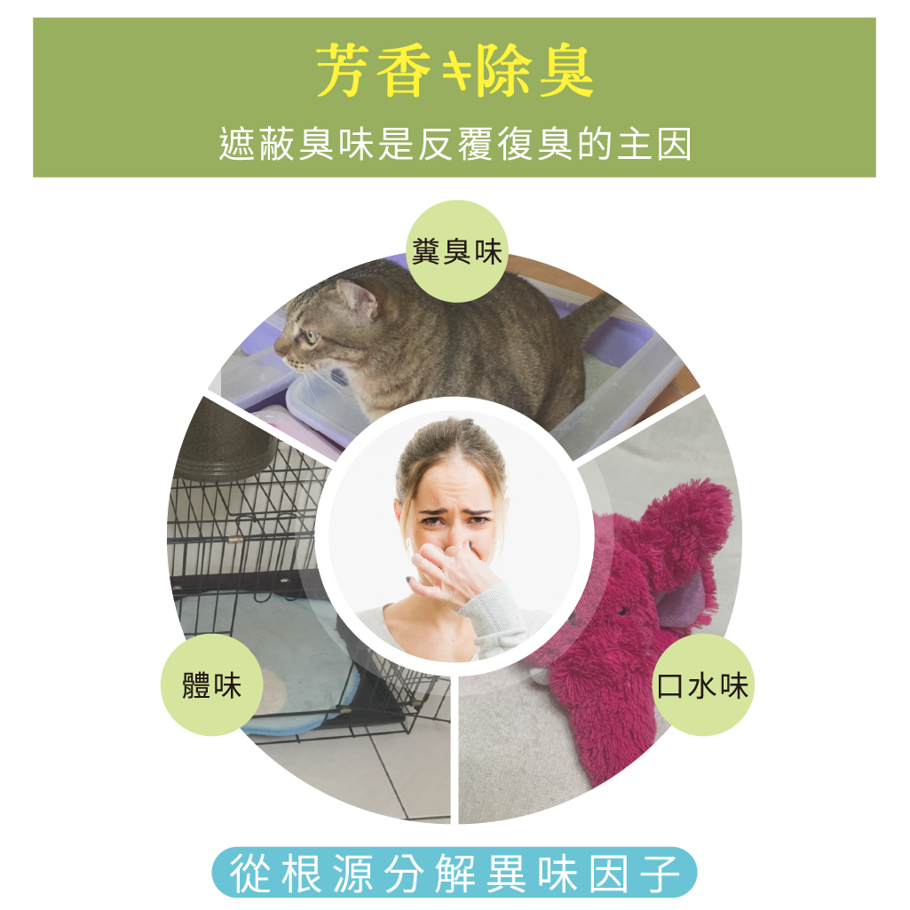 好菌工坊 寵物空間淨化劑 除臭