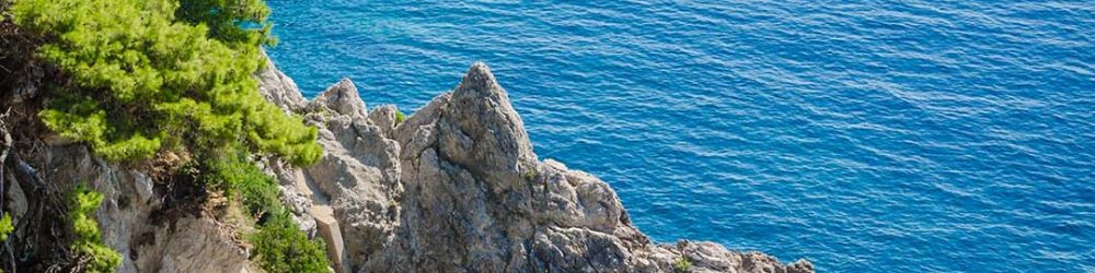 清新海洋調香氛精油 海島之夢|海風吹拂柑橘香氣,散發無憂的海島度假感。