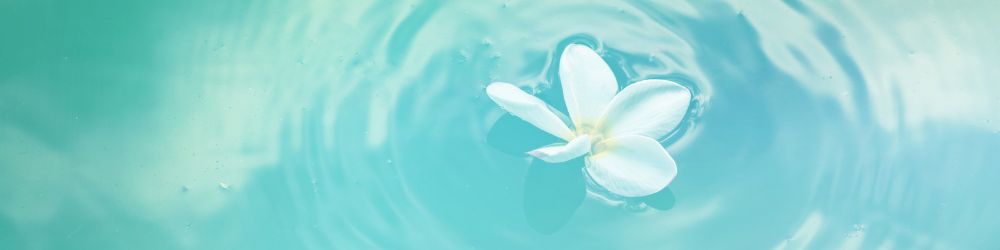 水生花香調香氛精油 水映晨光|橙花與蘆薈綠意交織,勾勒出清晨水光的純淨柔和。