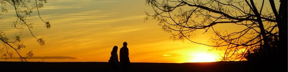 LAZY Scent 淡香吊瓶 靜語恬香 車用擴香|木質調月桂葉與雪松香氣,溫柔不暈車,帶出秋日午後的放鬆氛圍