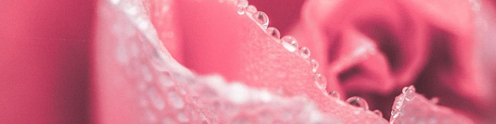 LAZY Scent 玫瑰戀語香氛蠟燭,浪漫花香調以英國玫瑰與玫瑰葉香氣為主,散發淡柔甜韻,輕柔溫暖適合浪漫夜晚。