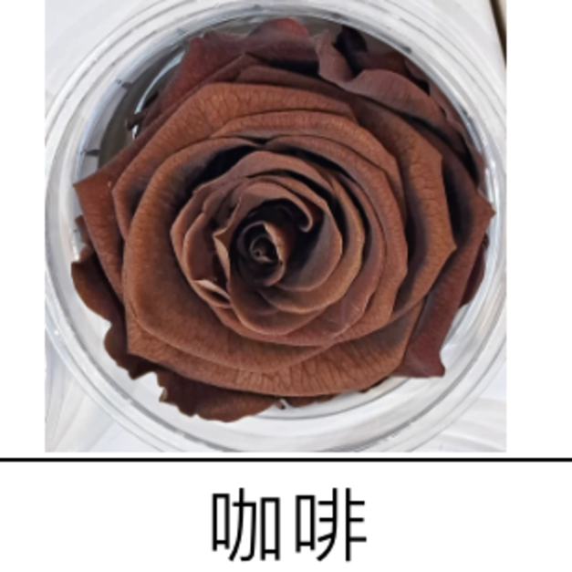 咖啡