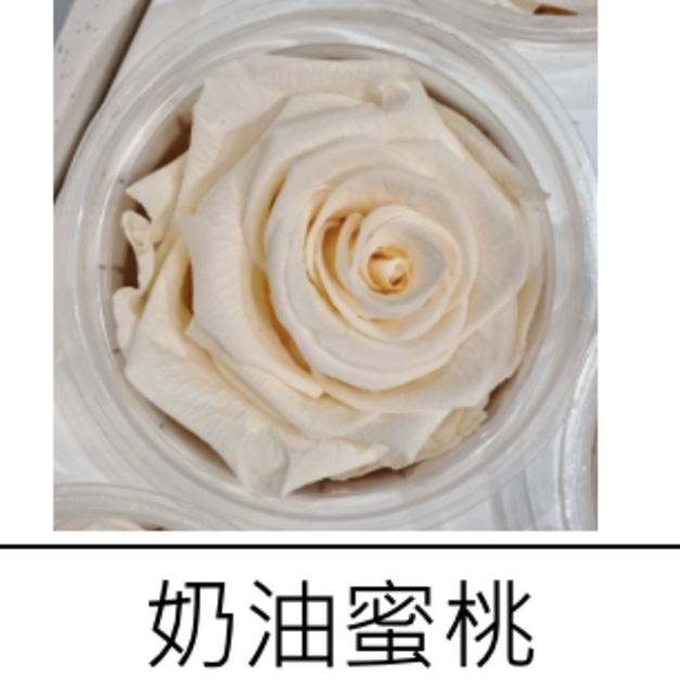 奶油蜜桃