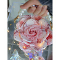 鈔票花禮♡琉璃蝶夢鈔票花禮_4 鈔票花禮♡琉璃蝶夢鈔票花禮_4