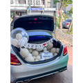 四門車 泡泡球A款_1 四門車 泡泡球A款_1