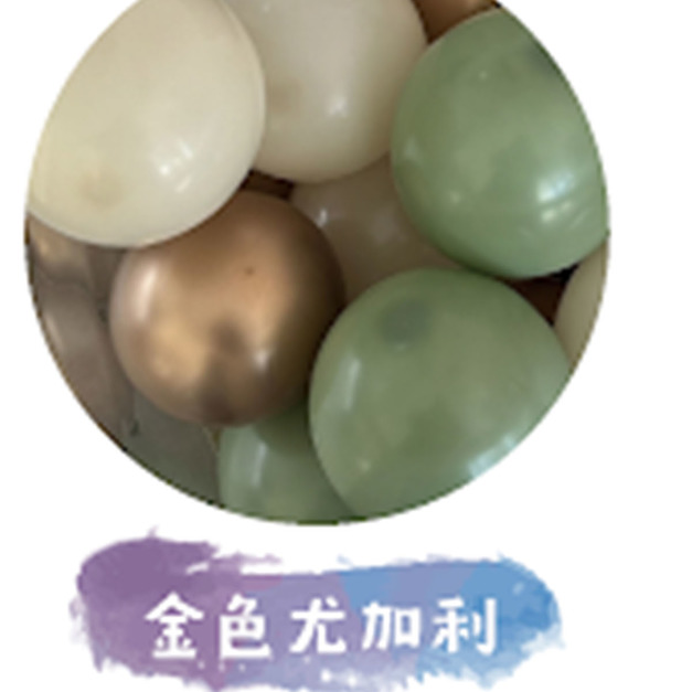 金色尤加利