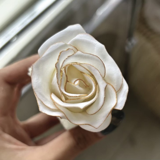 金邊白