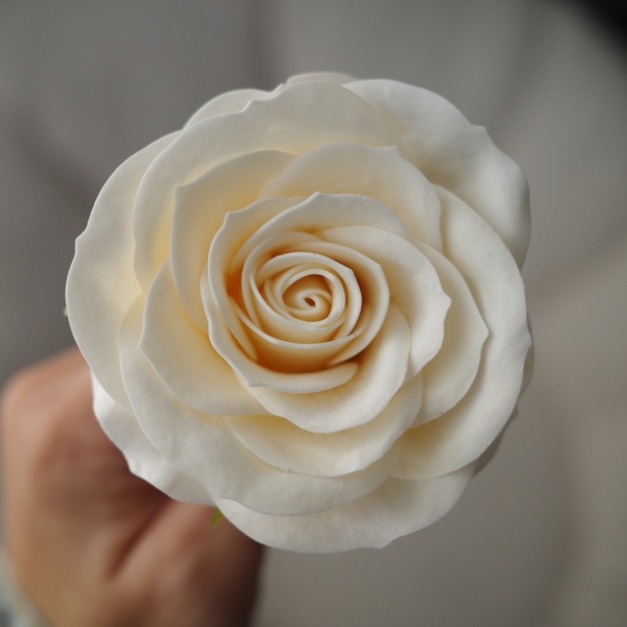 蜜瓜黃