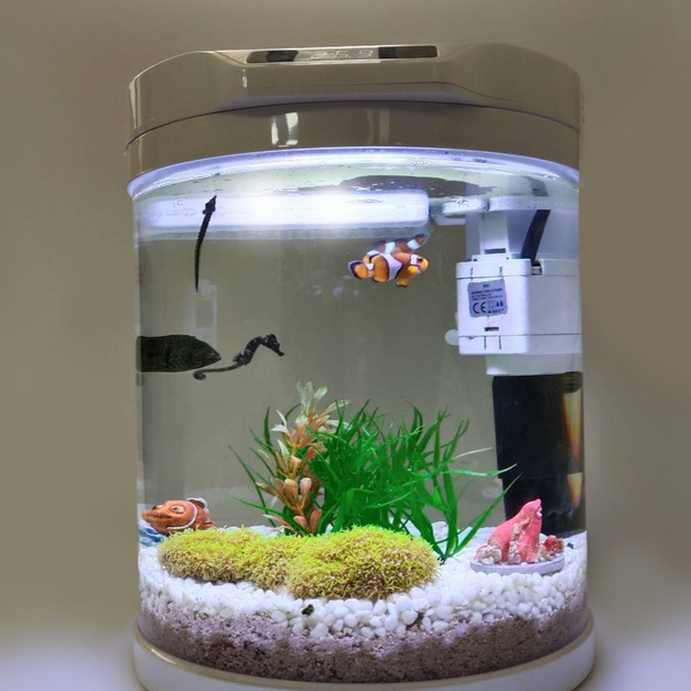 真珊瑚加冷水機的水族缸 真珊瑚加冷水機的水族缸