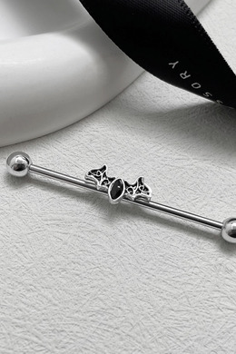 316L鋼|蝙蝠I形環 s2153ECAL-17 316L鋼|蝙蝠I形環 s2153ECAL-17