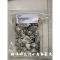 布袋養殖鮮蚵當日直送_1 布袋養殖鮮蚵當日直送_1