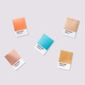 最新版 PANTONE GB1507C 金屬色色票_8 最新版 PANTONE GB1507C 金屬色色票_8
