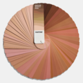 最新版 PANTONE STG202 膚色指南 SkinTone Guide_3 最新版 PANTONE STG202 膚色指南 SkinTone Guide_3