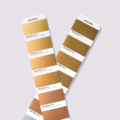 最新版 PANTONE GB1507C 金屬色色票_4 最新版 PANTONE GB1507C 金屬色色票_4