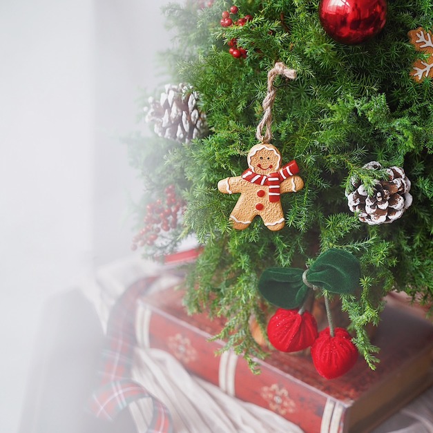 聖誕材料|DIY雪松聖誕小樹材料包 聖誕材料|DIY雪松聖誕小樹材料包